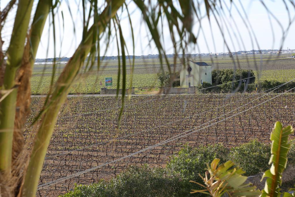 Eco Green La Vigna Leverano Phòng bức ảnh