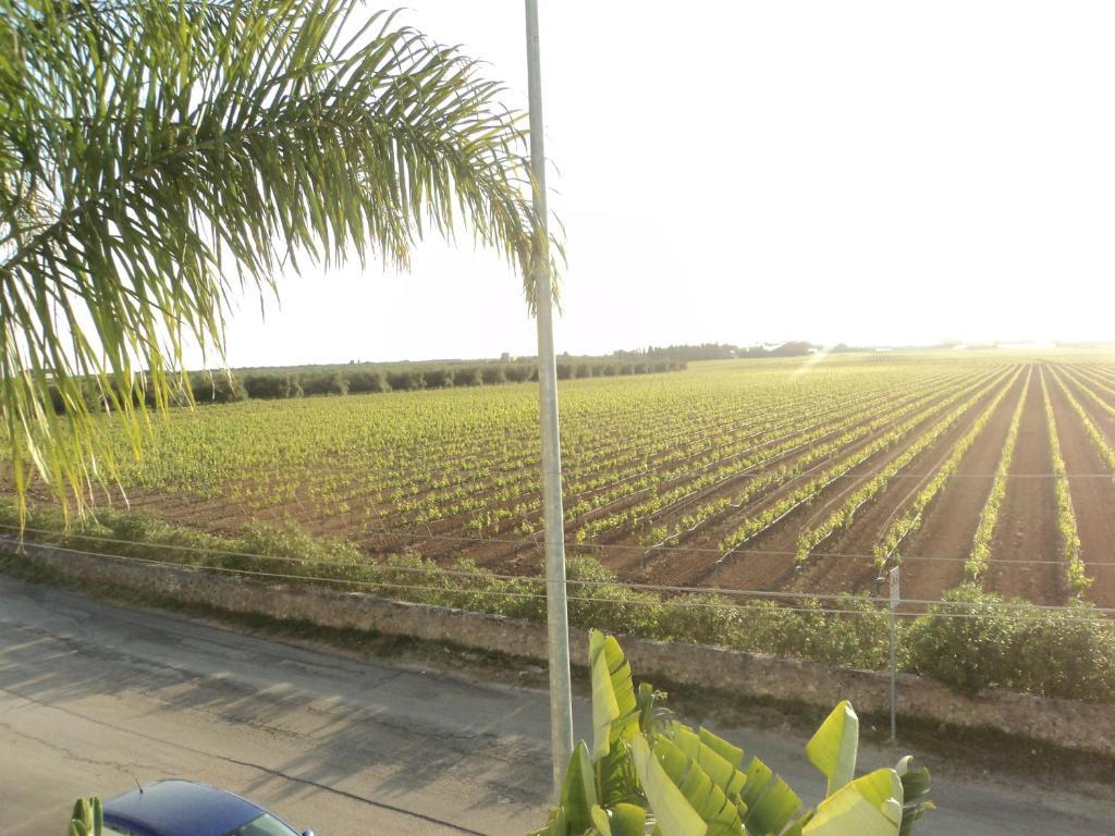 Eco Green La Vigna Leverano Phòng bức ảnh